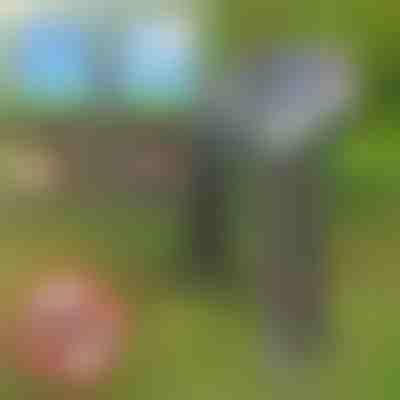 Repellente per animali nocivi solare | SOLGUARD