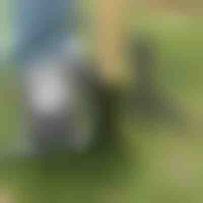 Attrezzo per estirpare le erbacce | ROOTNIK