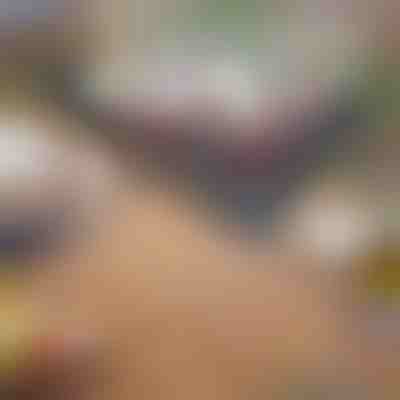 Grill portatile pieghevole per barbecue | GRILLOMATE