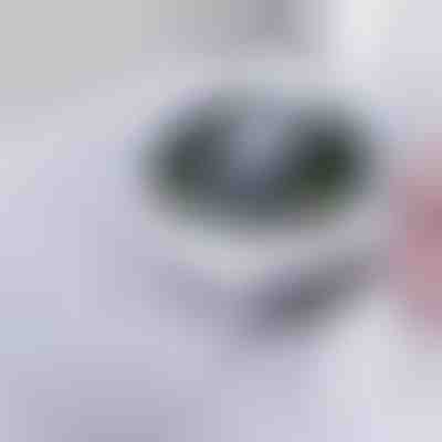 Filtro a scomparsa per lavello | DRAINIPRO