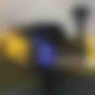 Lampada antizanzare da esterno (2 pezzi) | SOLARBUZZ