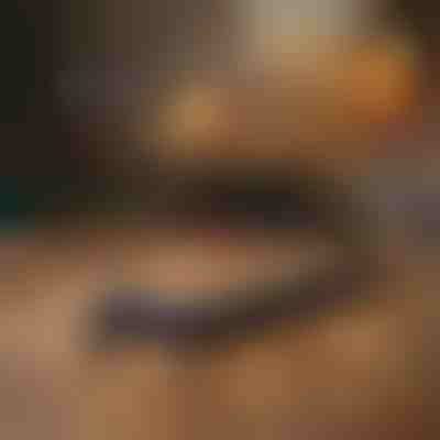 Coltello artigianale rotante di precisione | CRAFTBLADE